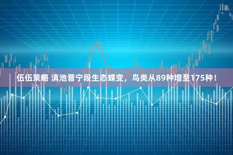 伍伍策略 滇池晋宁段生态蝶变，鸟类从89种增至175种！
