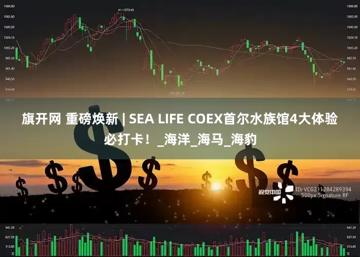 旗开网 重磅焕新 | SEA LIFE COEX首尔水族馆4大体验必打卡！_海洋_海马_海豹